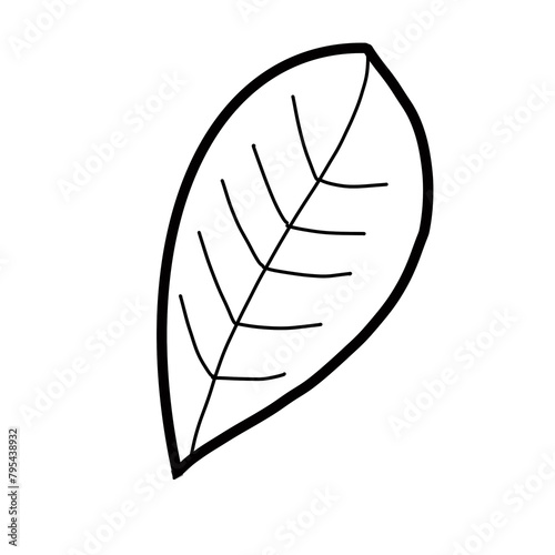 Coffee Leaf Hand drawn organic line doodle