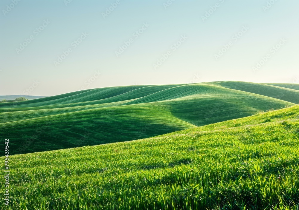 b'Green rolling hills under a clear blue sky' b'Green rolling hills under a clear blue sky'