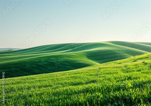 b'Green rolling hills under a clear blue sky'