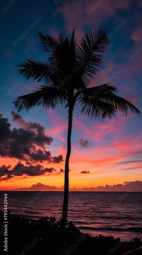 Sunset over the ocean with a palm tree silhouetted against the sky. Vertical background 
