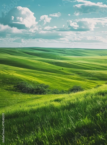 b'Green rolling hills under blue sky and white clouds' © Adobe Contributor