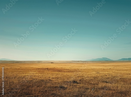 b'Vast Grassland Under Blue Sky' © Adobe Contributor