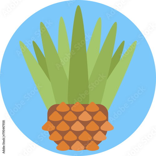 Capture the essence of Mexico with this iconic agave plant, representing centuries of tradition and cultural significance in its cultivation and use.