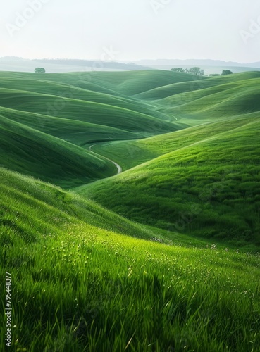 b'Picturesque green hills of Tuscany, Italy'