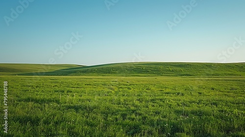 b Vast green grassy field under clear blue sky 