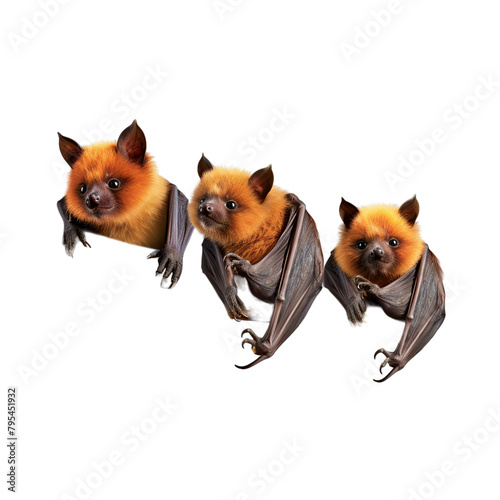 illustration of Three little bat, Isolated on transparent PNG background, Generative ai photo