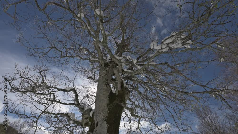 Lago Calamone nella neve | Ventasso Reggio Emilia