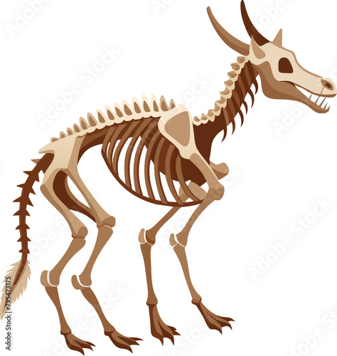 Triceratops dinosaur skeleton isolated on white background. illustration.