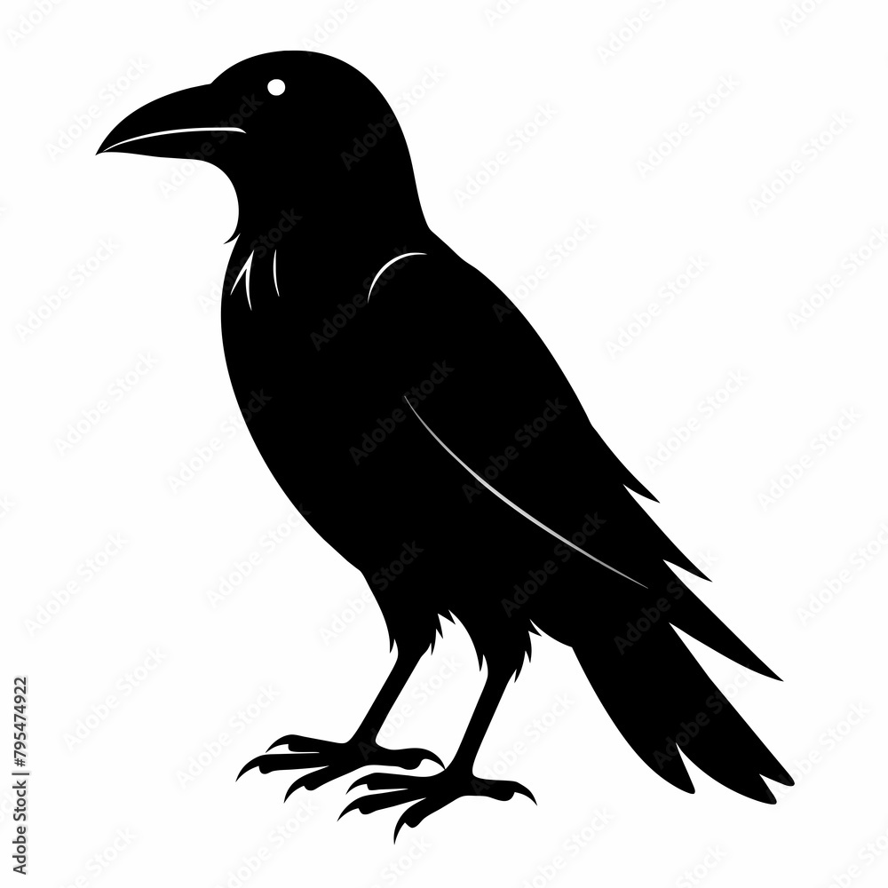 Fototapeta premium Raven silhouette vector illustration on white background