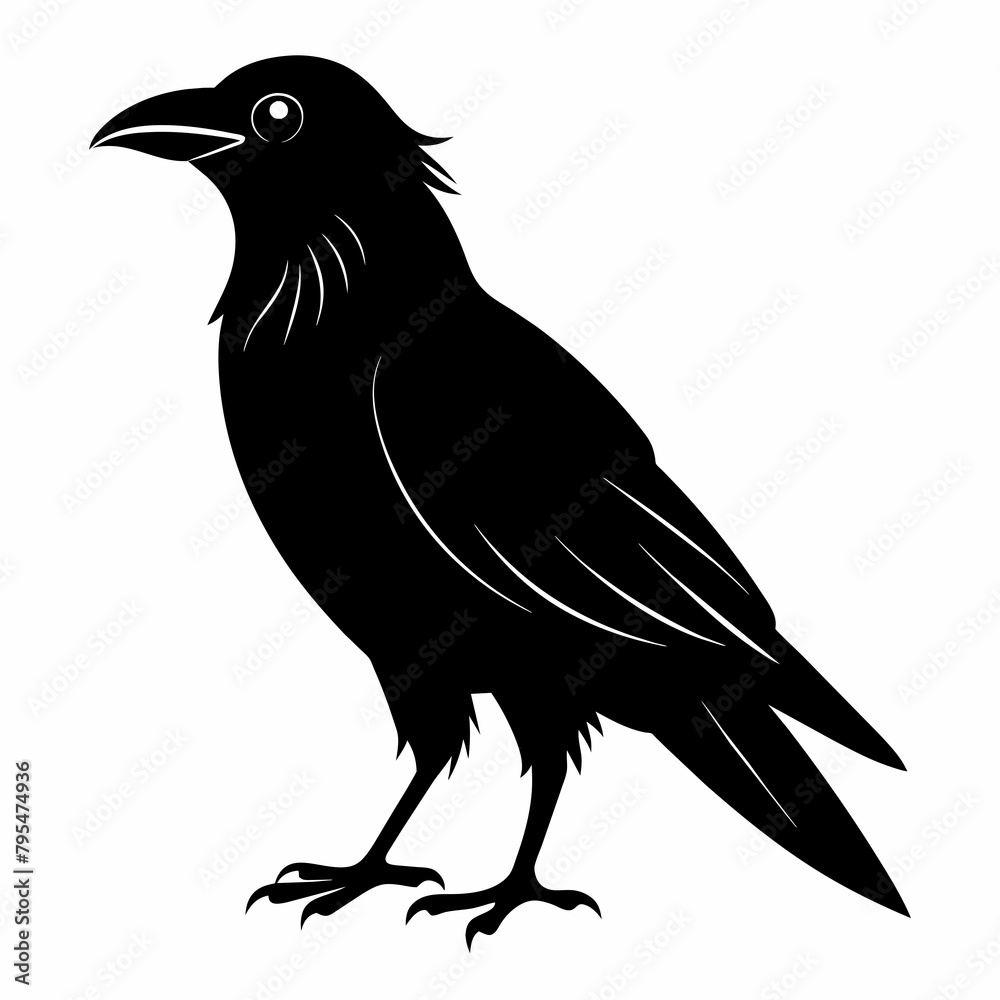 Raven silhouette vector illustration on white background Raven silhouette vector illustration on white background