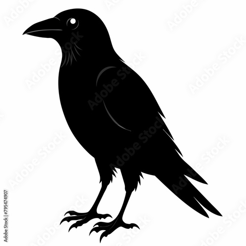 Raven silhouette vector illustration on white background © SK kobita