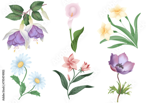 collection of flowers illustration