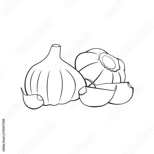 Garlic, Black and White stylized, Vector Illustration