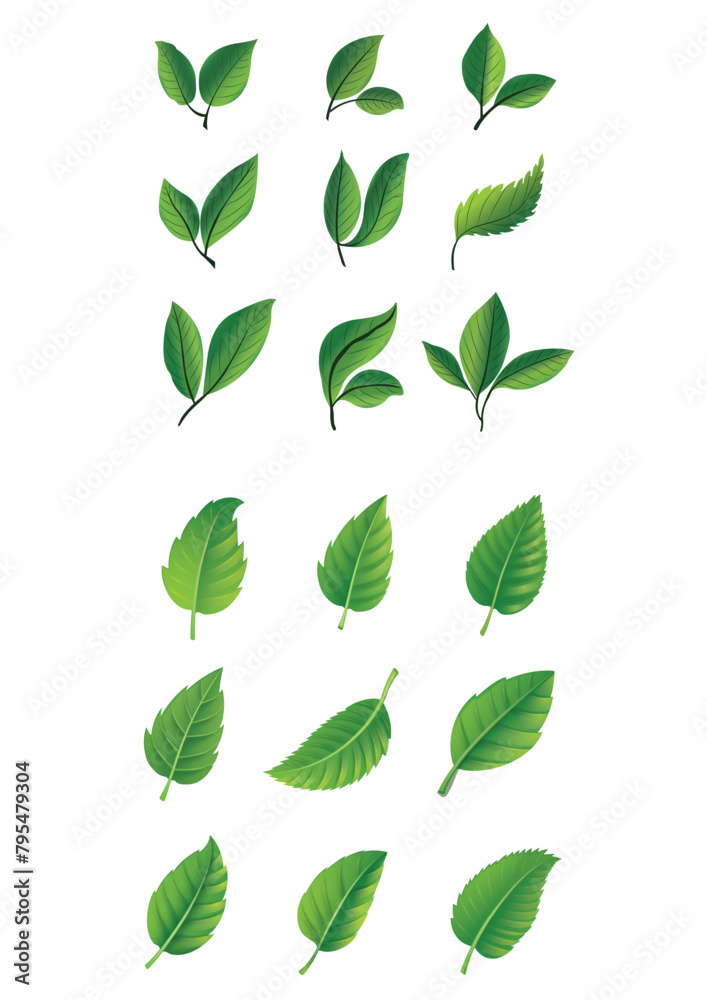 Leaves green icon set.Various shapes and forms of green leaves set Leaves green icon set.Various shapes and forms of green leaves set