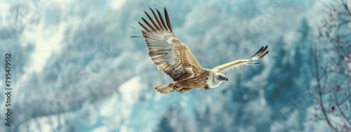 A stunning Eurasian griffon vulture soars against a snowy mountain backdrop, showcasing its impressive wingspan and majestic presence. photo