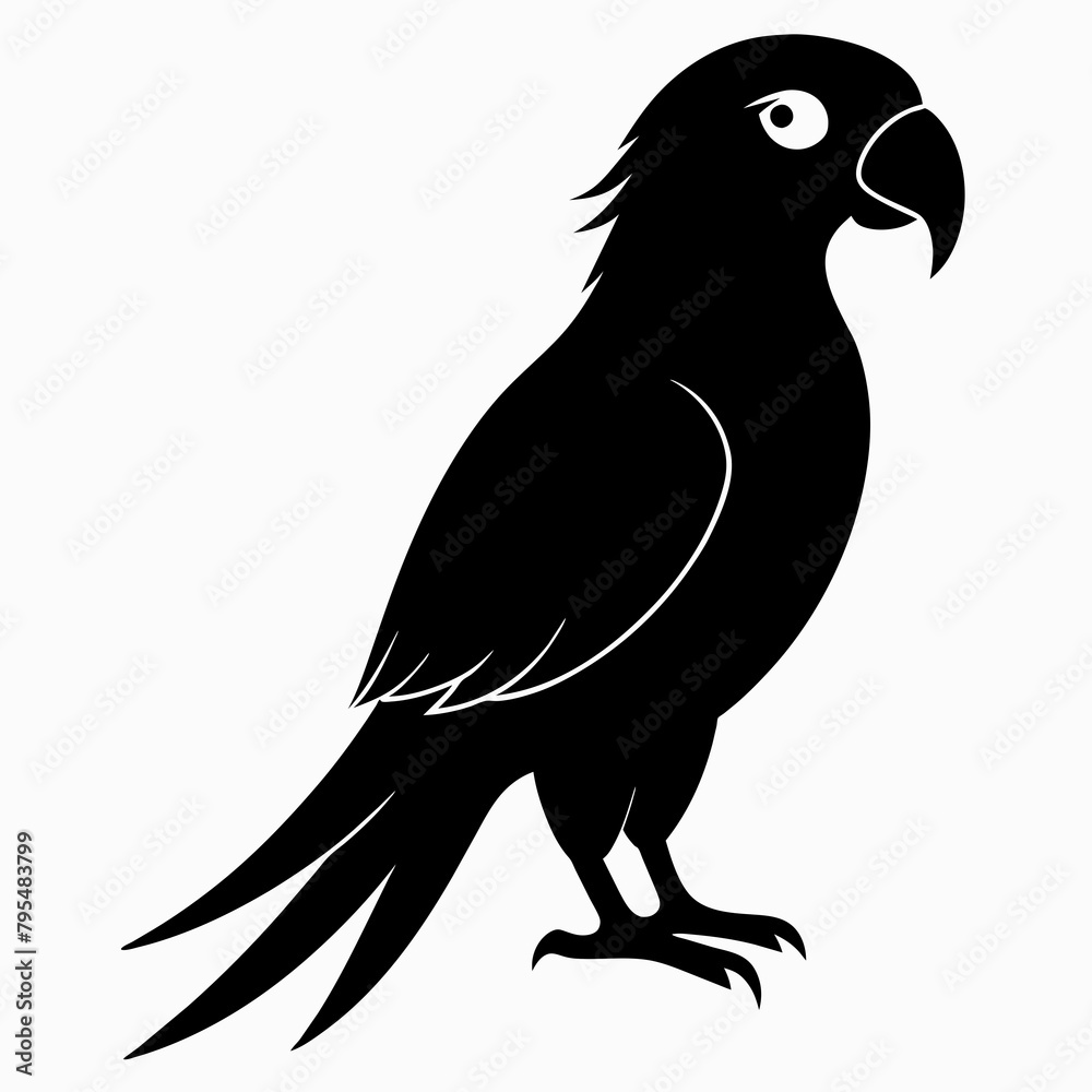 Macaw sillhouette vector illustration