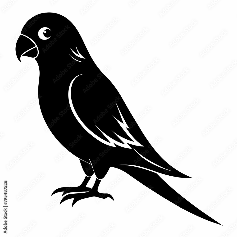 Parakeet sillhouette vector illustration Parakeet sillhouette vector illustration