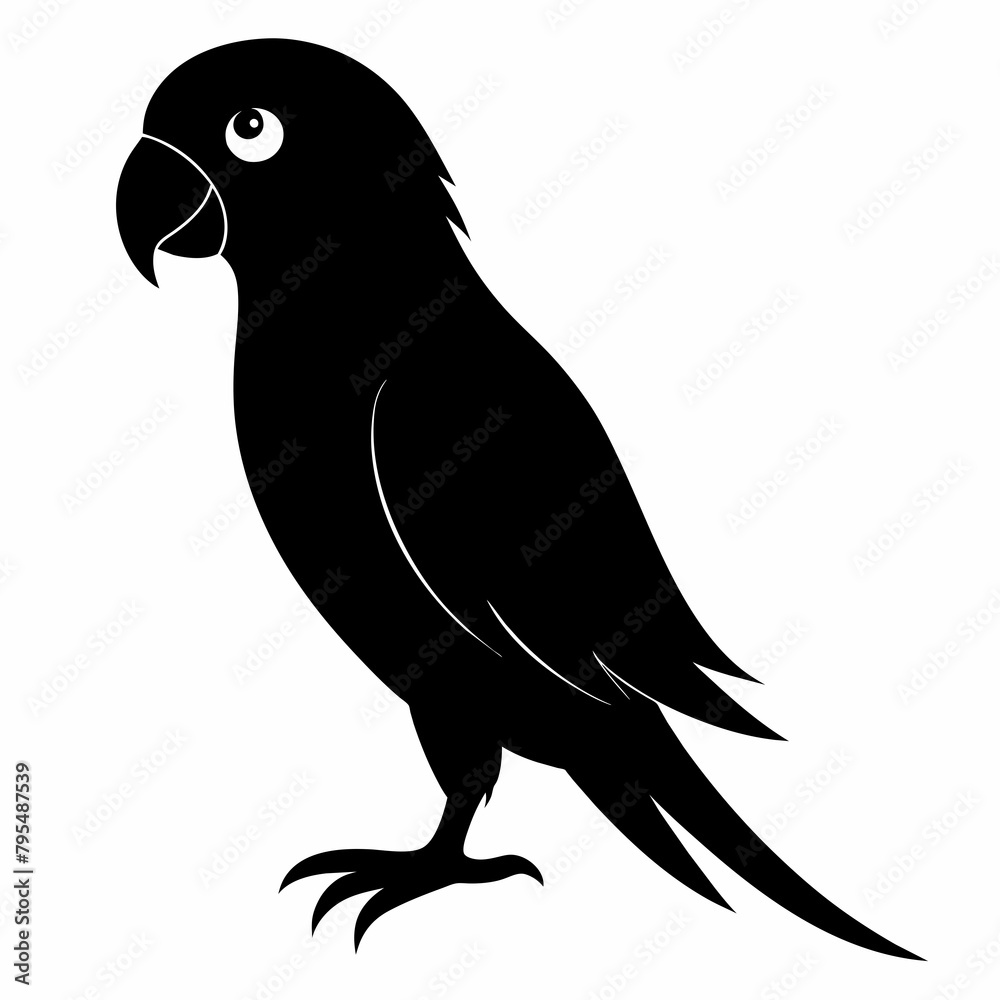 Obraz premium Parakeet sillhouette vector illustration