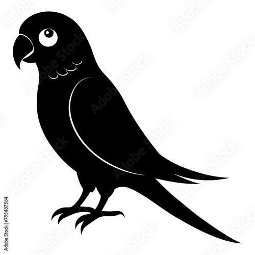 Parakeet sillhouette vector illustration photo