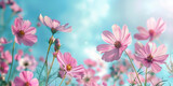 A close-up of lively pink flowers standing out against a soft and dreamy bokeh background