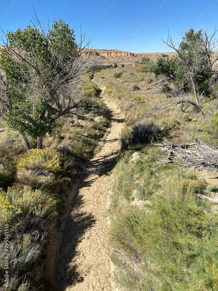 Obraz premium Chaco Wash, an arroyo (periodic stream) cutting through Chaco Canyon, Chaco Culture National Historical Park in New Mexico. Chaco Canyon was a major Ancestral Puebloan culture center. Grazing elk.