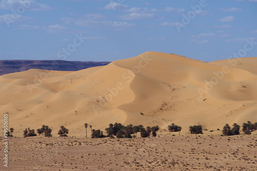 A monster dune is growing in the Sahara Desert with an Palm Oasis in front