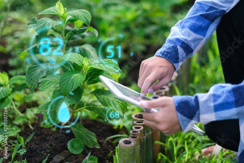 Farmer using a digital tablet examining plants health, growing crops of organic food or vegetation with earth and soil. Infographics graphic icon indications of plants life and data. photo