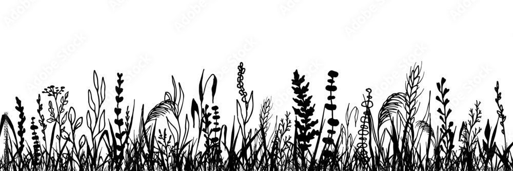 Grass with herbs and wild flowers. Vector isolated silhouette of floral meadow. Horizontal border.