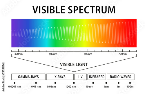 Visible light diagram. Color electromagnetic spectrum, frequency of light waves. Physics education school vector background. Electromagnetic spectrum visible to the human eye. Vector illustration photo