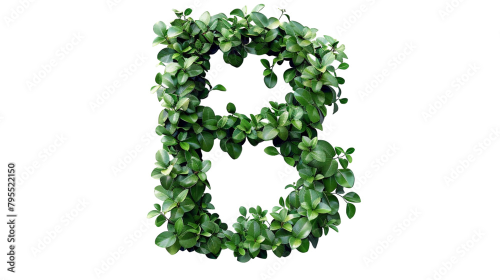 The letter B of the English alphabet from the leaves of green plants isolated on white background PNG