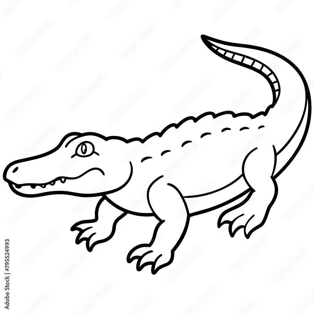 Fototapeta premium crocodile isolated on white background