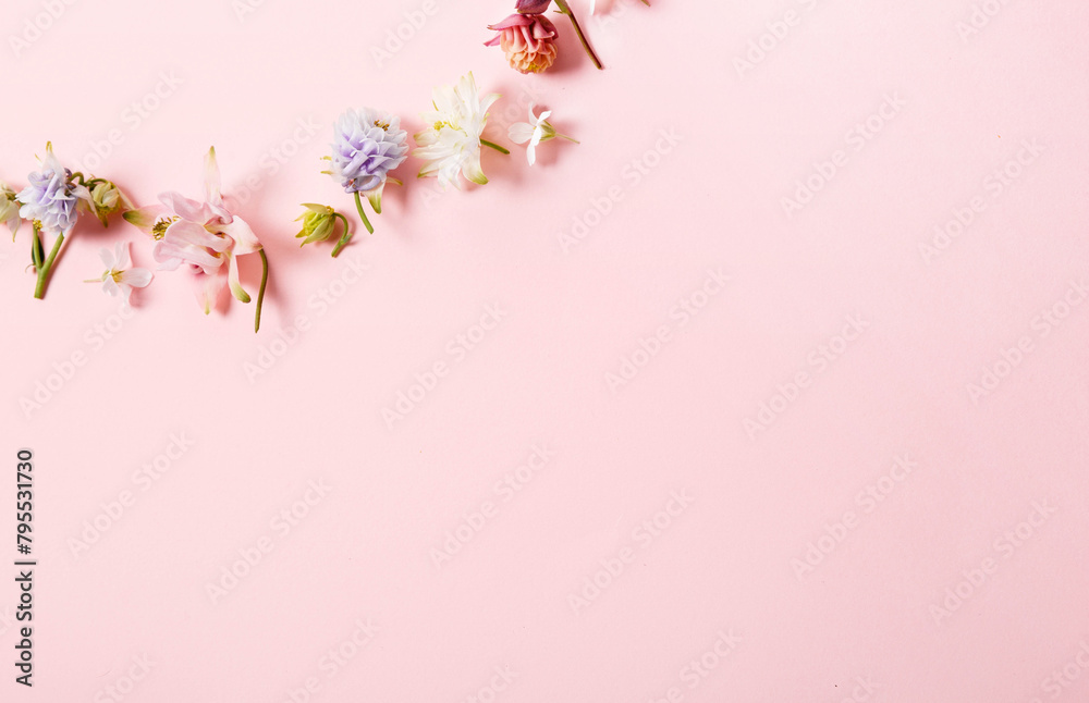 Spring frame of small flowers and daisy, floral arrangement on pink background Spring frame of small flowers and daisy, floral arrangement on pink background