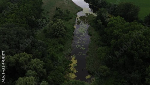 Aerial view of trees and swamp during summer, looking down at reed filled lake. Flying over green lush land with trees photo