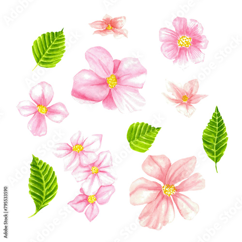watercolor pink flowers and green leaves clip art  white background  cute style  simple design  with a pink color palette  featuring different sizes of blossoms and shapes of petals  clipart style