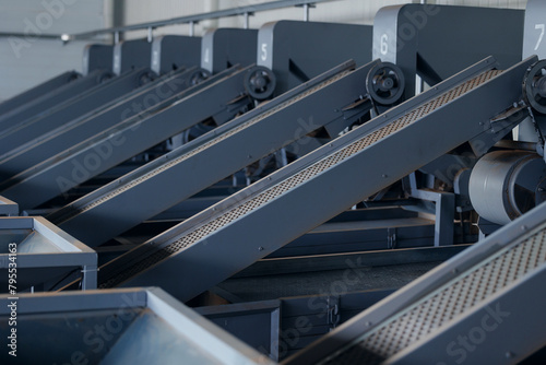 Conveyor belts for peeling nuts in production, food factory