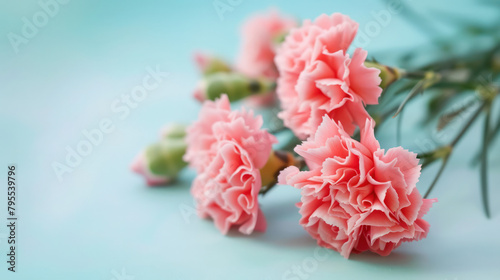 Cluster of pink flowers on table