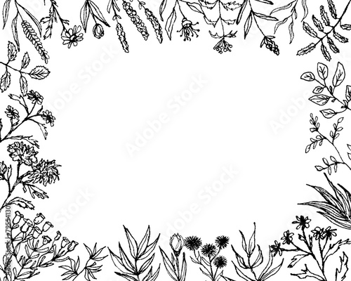 Vector floral frame. Foliage Holiday card with copy space. Floral background, Universal template. Floral hand drawn outlined twigs branches, black and white background.