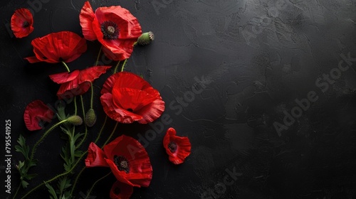 Flat layout of red poppy flowers isolated on a black background