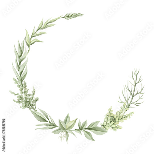 Round oval composition frame with vintage green twigs and leaves vegetation composition isolated on white background. Watercolor hand drawn illustration sketch