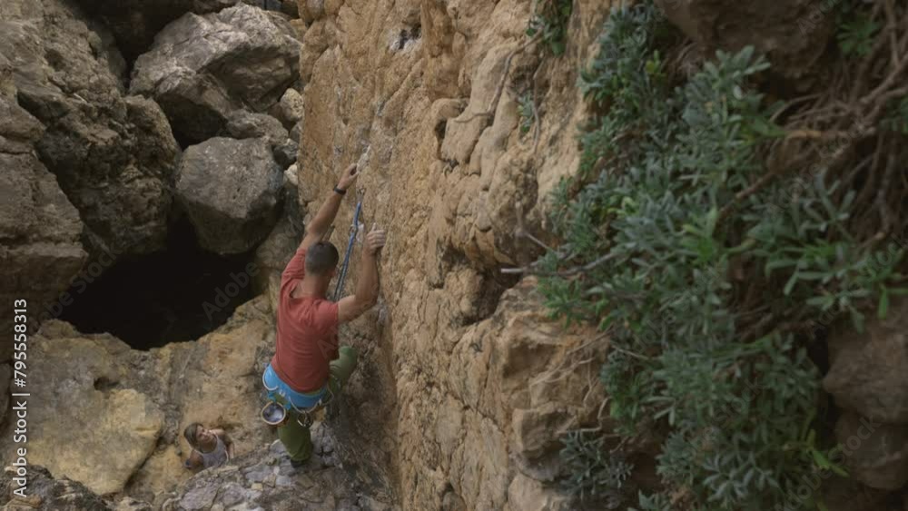 A man is climbing a rock wall with a green plant growing on it A man is climbing a rock wall with a green plant growing on it