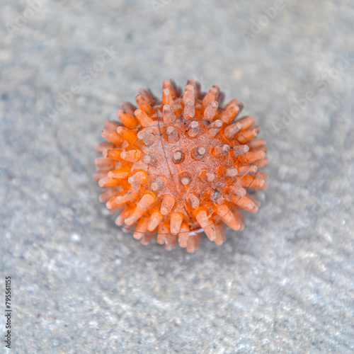 One Old Used Rubber Ball With Spikes at Street