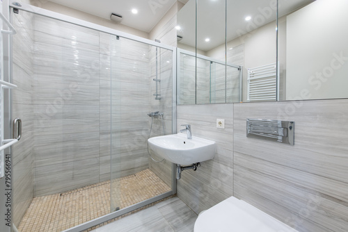 Bright Elegant Modern Minimalist Bathroom Interior Design of Shower Room With White Sink. Bathroom Accessories, Gray Walls, Concrete Floor, Mirror