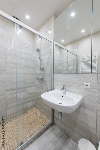 Bright Elegant Modern Minimalist Bathroom Interior Design of Shower Room With White Sink. Bathroom Accessories  Gray Walls  Concrete Floor  Mirror