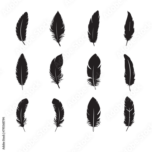 set of feathers