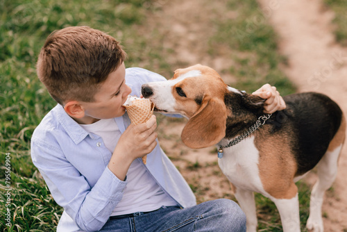 Smiling boy sharing ice cream with beagle dog on a summer walk in the park, close-up. Concept of emotional connection, human-pet friendship