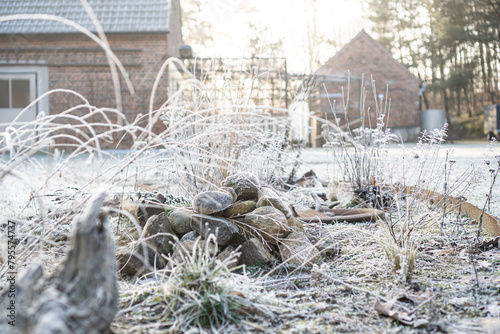 Gartenbeet im Winter mit Stauden und Steinhaufen / Konzept: Winter im Naturgarten mit Frost photo