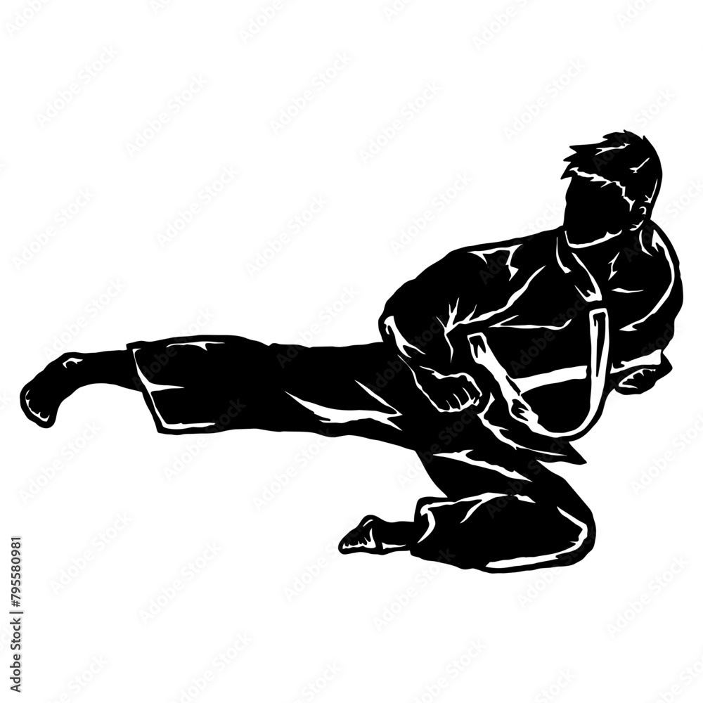 Fototapeta premium karate taekwondo fly jump kick