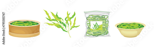 Green Hijiki Seaweed and Algae Plant Vector Set