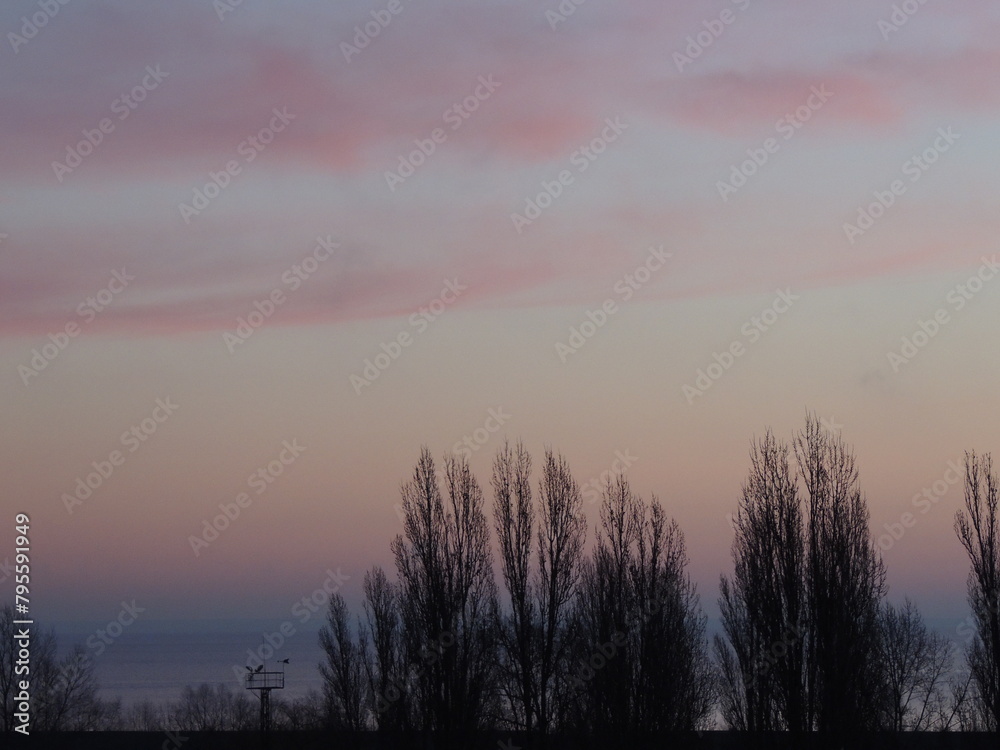 Fototapeta premium sunrise in the fog