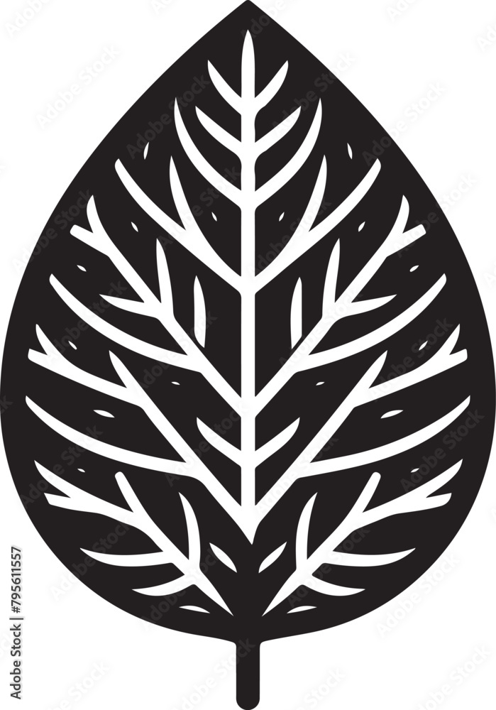black and white feather black and white feather